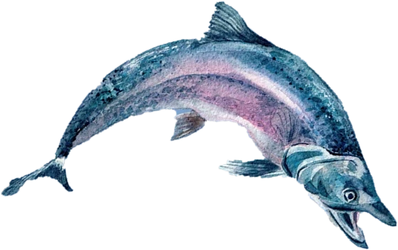 Watercolor illustration of a salmon